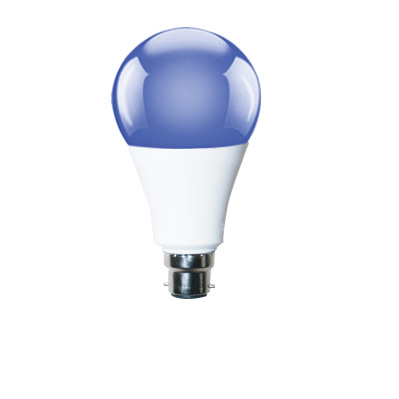 ATEL LED Blue-bulb